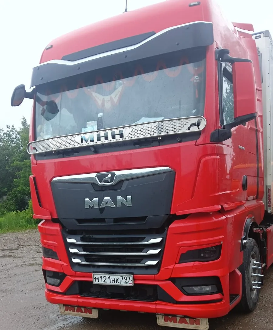 Накладки на фары MAN TGX Евро 6 Lion, фото 3